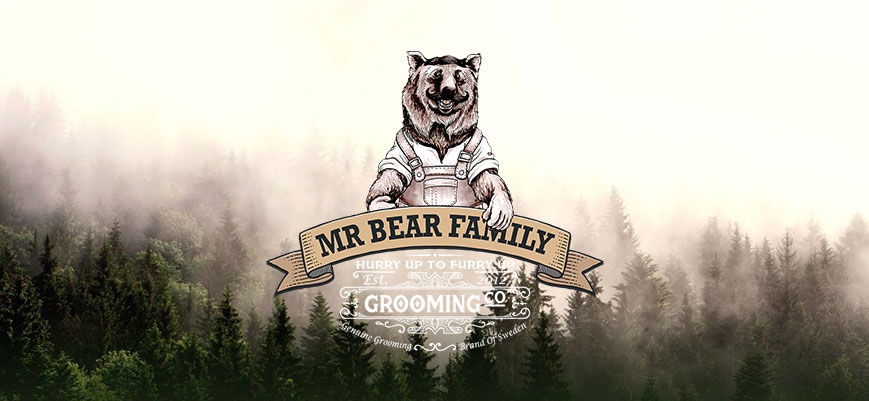 MR BEAR FAMILY óleo champô barba