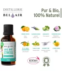 sinergia-difusao-oleo-essencial-bye-bye-stress-naturibio